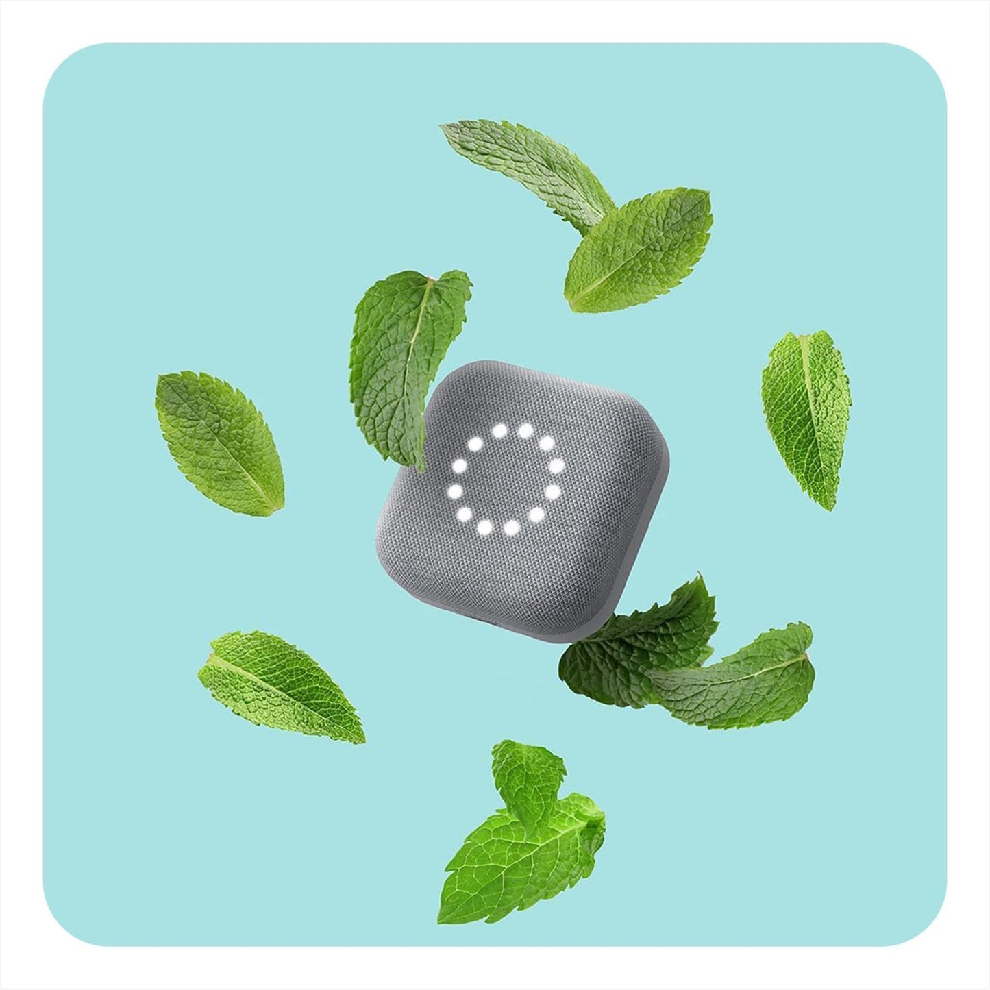 Mint color image inspired by fresh green leaves