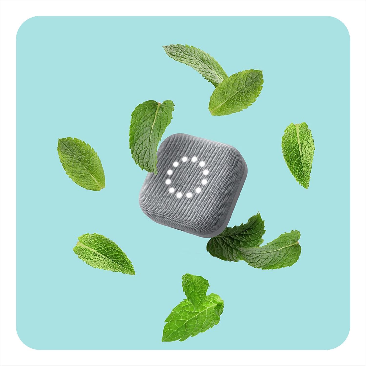 Mint color image inspired by fresh green leaves